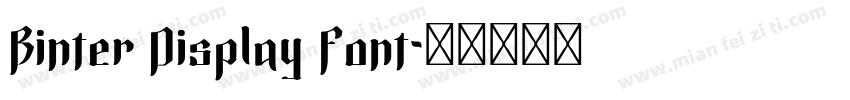 Binter Display Font字体转换
